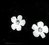 Botanical : Spurge