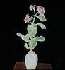 1 : Milkweed