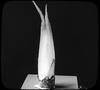Botanical : Skunk Cabbage