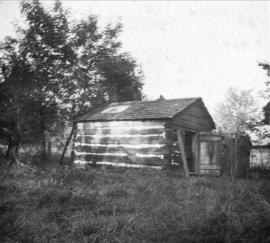Swift Farm